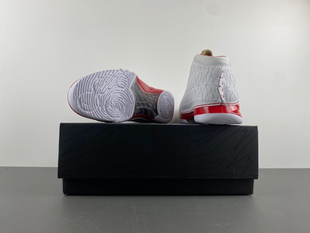 Air Jordan 23 318376-161