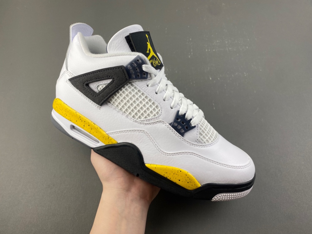 Air Jordan 4 IO2463-102